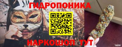 соль ск Кингисепп