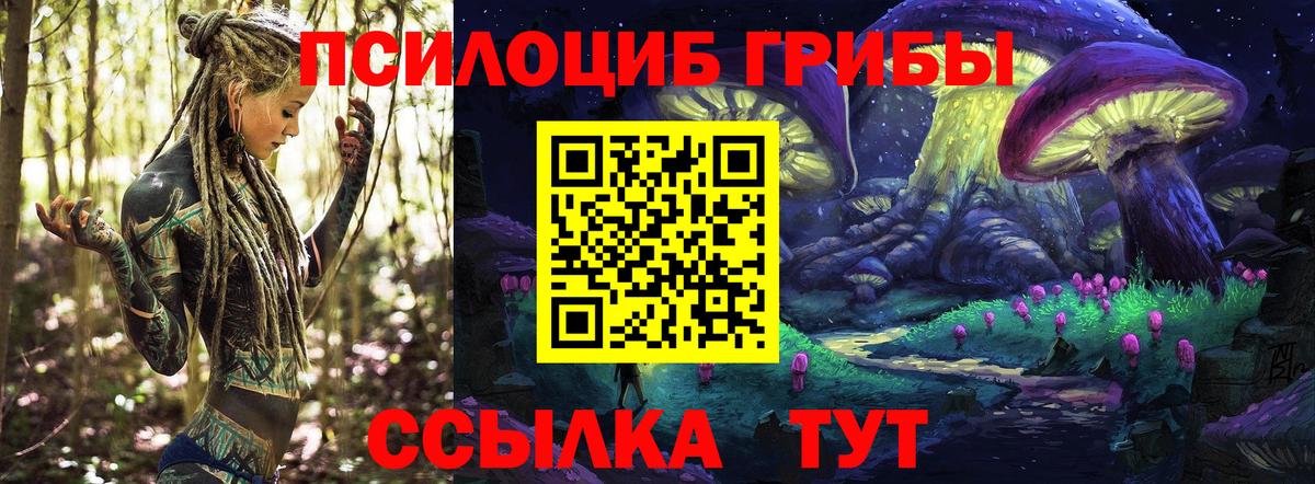 Галлюциногенные грибы прущие грибы Кизляр