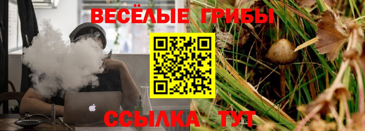 цены наркотик  Псилоцибиновые грибы Psilocybe  Вход с VPN  Кизляр 